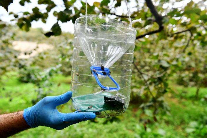 eba2b3ac-3d58-4b57-bd58-601f0548ceb8