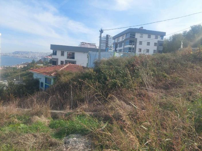 ebbf21f9-bb94-4828-be67-3c1fb97b8b99