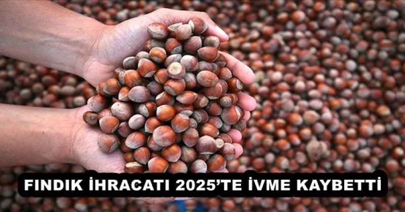 findik_ihracati_2025te_ivme_kaybetti_h56292_74b57 FINDIK İHRACATI 2025’TE İVME KAYBETTİ