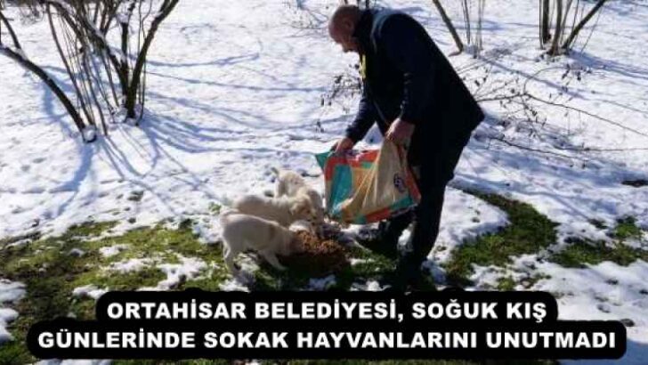 ORTAHİSAR BELEDİYESİ, SOĞUK KIŞ GÜNLERİNDE SOKAK HAYVANLARINI UNUTMADI