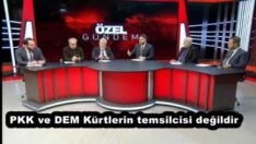 PKK ve DEM Kürtlerin temsilcisi değildir