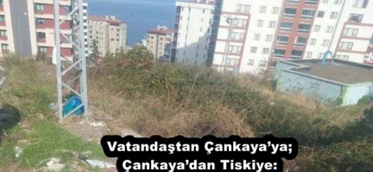 Vatandaştan Çankaya’ya; Çankaya’dan Tiskiye: