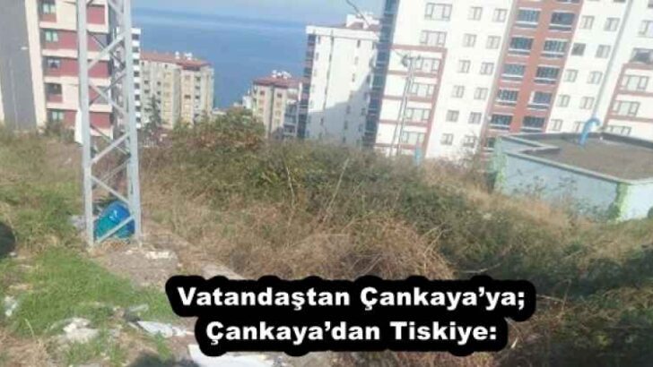 Vatandaştan Çankaya’ya; Çankaya’dan Tiskiye: