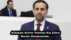 Ardahan–Artvin Yolunda Kış Çilesi Meclis Gündeminde..