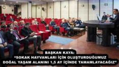 BAŞKAN KAYA: “SOKAK HAYVANLARI İÇİN OLUŞTURDUĞUMUZ DOĞAL YAŞAM ALANINI 1,5 AY İÇİNDE TAMAMLAYACAĞIZ” 
