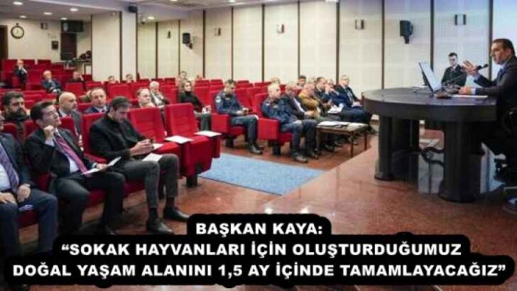 BAŞKAN KAYA: “SOKAK HAYVANLARI İÇİN OLUŞTURDUĞUMUZ DOĞAL YAŞAM ALANINI 1,5 AY İÇİNDE TAMAMLAYACAĞIZ” 