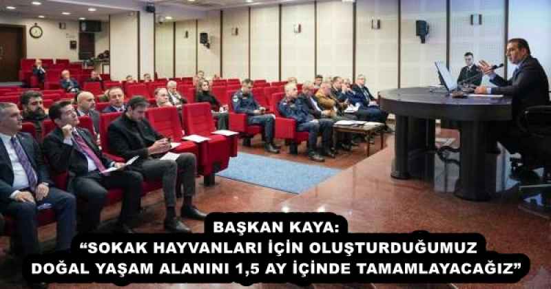 BAŞKAN KAYA: “SOKAK HAYVANLARI İÇİN OLUŞTURDUĞUMUZ DOĞAL YAŞAM ALANINI 1,5 AY İÇİNDE TAMAMLAYACAĞIZ” 