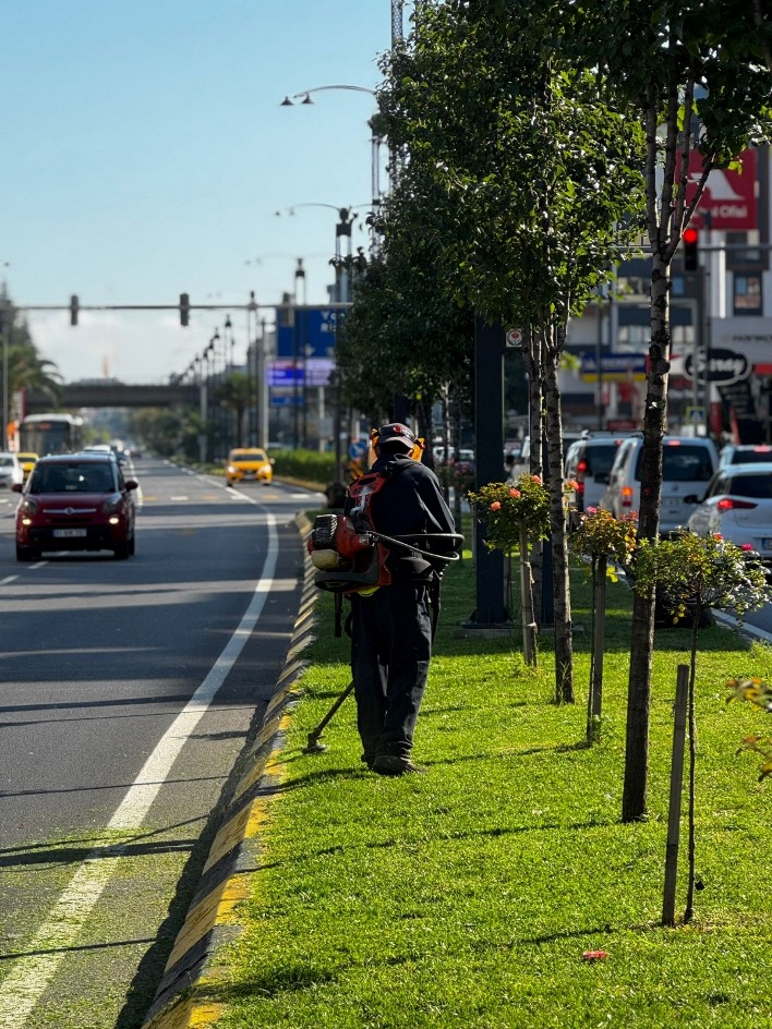 d24996bf-11f5-4dbc-a40a-6f9426a0bea1