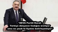 *DEVA Partili Karal: Türkiye dünyanın fındığını üretiyor ama ne yazık ki fiyatını belirleyemiyor