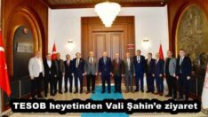 TESOB heyetinden Vali Şahin’e ziyaret