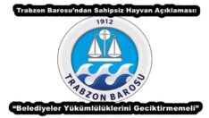 Trabzon Barosu’ndan Sahipsiz Hayvan Açıklaması: “Belediyeler Yükümlülüklerini Geciktirmemeli”