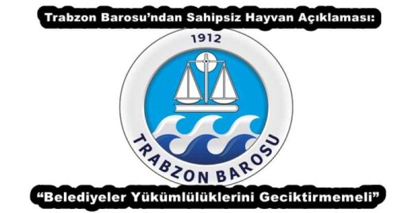 Trabzon Barosu’ndan Sahipsiz Hayvan Açıklaması: “Belediyeler Yükümlülüklerini Geciktirmemeli”