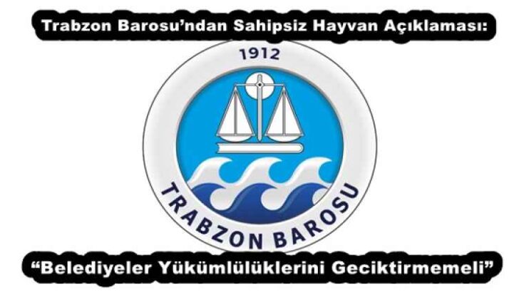 Trabzon Barosu’ndan Sahipsiz Hayvan Açıklaması: “Belediyeler Yükümlülüklerini Geciktirmemeli”