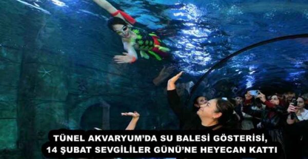 TÜNEL AKVARYUM’DA SU BALESİ GÖSTERİSİ, 14 ŞUBAT SEVGİLİLER GÜNÜ’NE HEYECAN KATTI