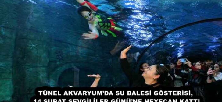 TÜNEL AKVARYUM’DA SU BALESİ GÖSTERİSİ, 14 ŞUBAT SEVGİLİLER GÜNÜ’NE HEYECAN KATTI