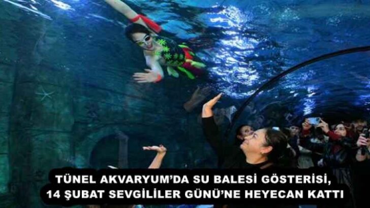 TÜNEL AKVARYUM’DA SU BALESİ GÖSTERİSİ, 14 ŞUBAT SEVGİLİLER GÜNÜ’NE HEYECAN KATTI