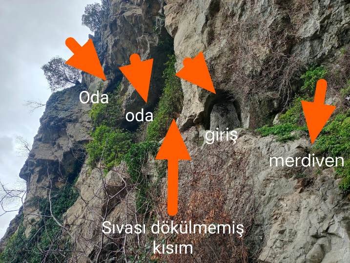 whatsapp_image_2026-02-28_at_22-03-161