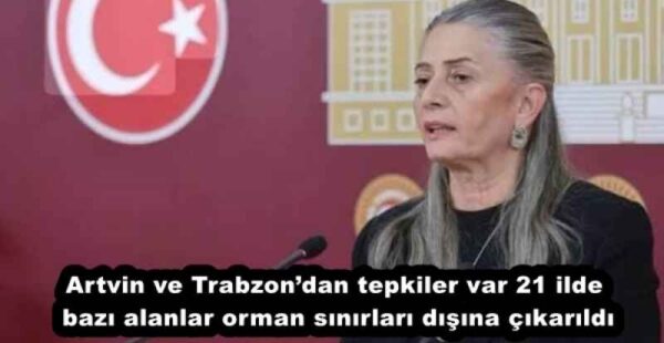 Artvin ve Trabzon’dan tepkiler var 21 ilde bazı alanlar orman sınırları dışına çıkarıldı