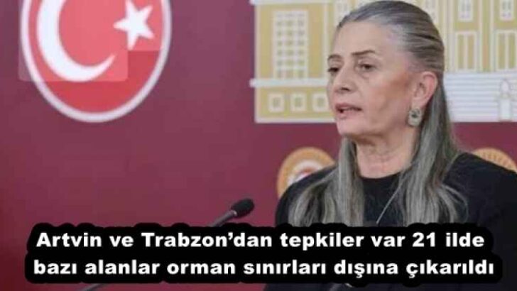 Artvin ve Trabzon’dan tepkiler var 21 ilde bazı alanlar orman sınırları dışına çıkarıldı