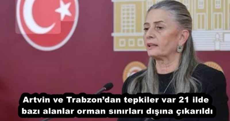 Artvin ve Trabzon’dan tepkiler var 21 ilde bazı alanlar orman sınırları dışına çıkarıldı