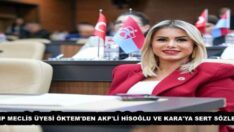 CHP MECLİS ÜYESİ ÖKTEM’DEN AKP’Lİ HİSOĞLU VE KARA’YA SERT SÖZLER