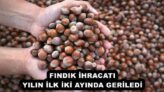 FINDIK İHRACATI YILIN İLK İKİ AYINDA GERİLEDİ
