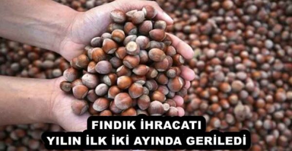 FINDIK İHRACATI YILIN İLK İKİ AYINDA GERİLEDİ