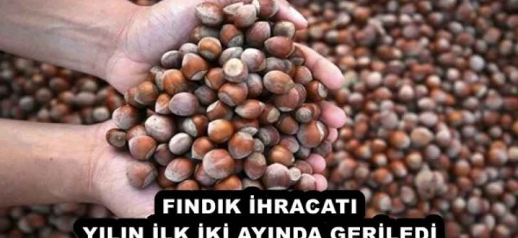 FINDIK İHRACATI YILIN İLK İKİ AYINDA GERİLEDİ