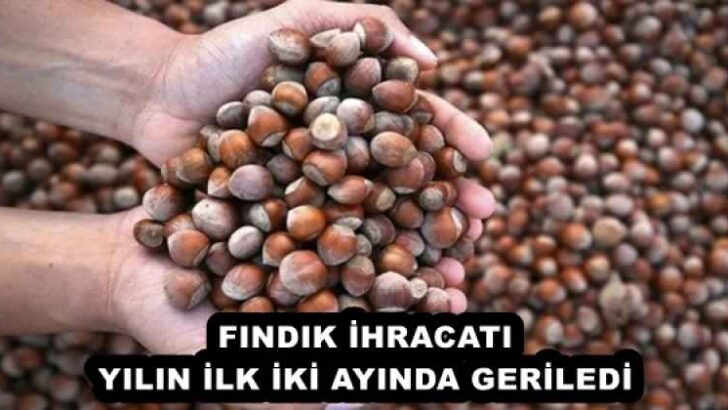FINDIK İHRACATI YILIN İLK İKİ AYINDA GERİLEDİ