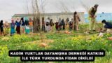 KADİM YURTLAR DAYANIŞMA DERNEĞİ KATKISI İLE TÜRK YURDUNDA FİDAN DİKİLDİ