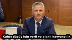 Kalıcı düşüş için yerli ve planlı hayvancılık