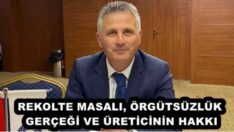 REKOLTE MASALI, ÖRGÜTSÜZLÜK GERÇEĞİ VE ÜRETİCİNİN HAKKI