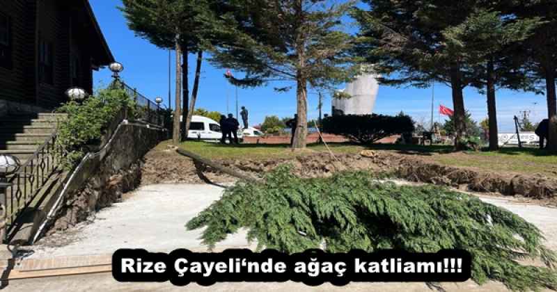 rize_cayelinde_agac_katliami_h57744_b2c3b Rize Çayeli‘nde ağaç katliamı!!!