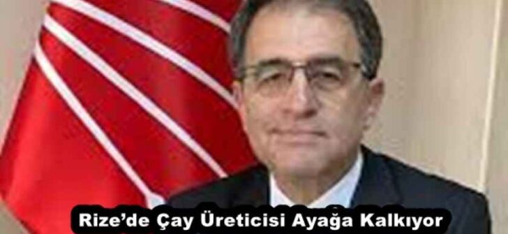 Rize’de Çay Üreticisi Ayağa Kalkıyor