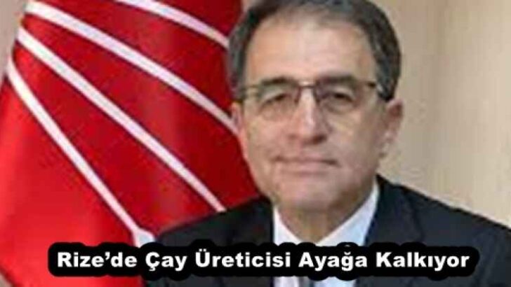 Rize’de Çay Üreticisi Ayağa Kalkıyor