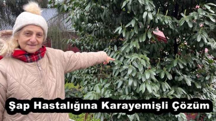 Şap Hastalığına Karayemişli Çözüm