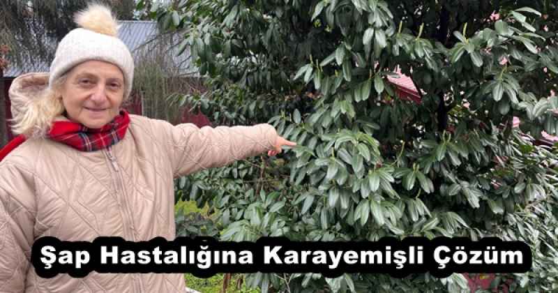 sap_hastaligina_karayemisli_cozum_h57790_3a19c Şap Hastalığına Karayemişli Çözüm
