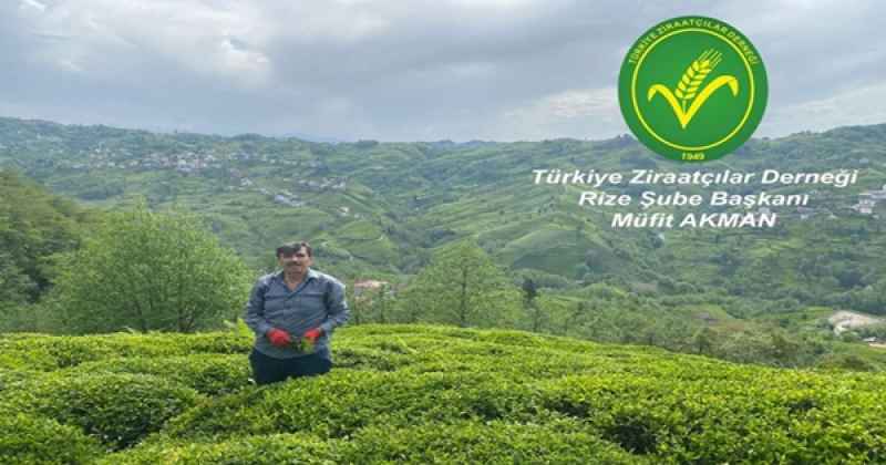 TÜRKİYE ZİRAATÇILAR DERNEĞİ RİZE ŞUBESİ BAŞKANI MÜFİT AKMAN’DAN GÜBRELEME AÇIKLAMASI