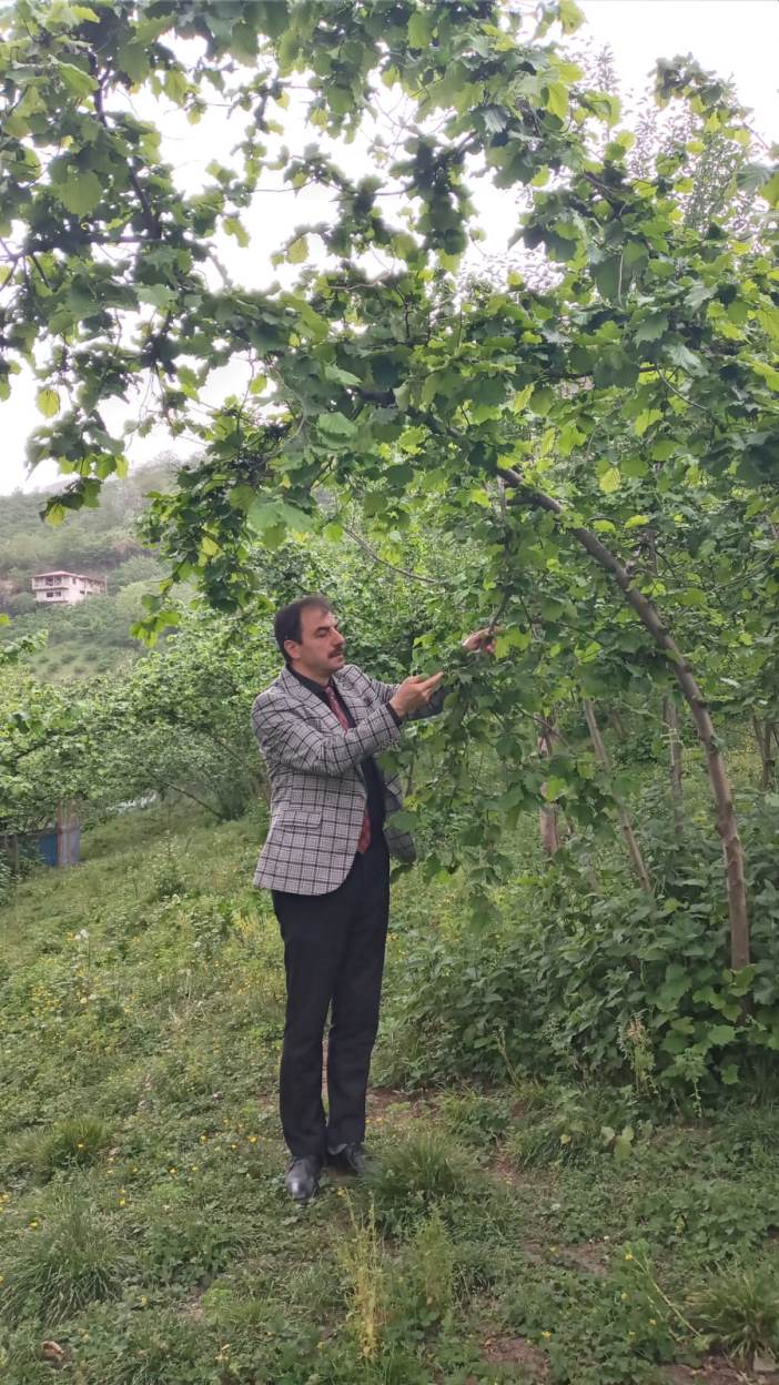 348d5245-e530-4481-a97a-3b1aa09650e9