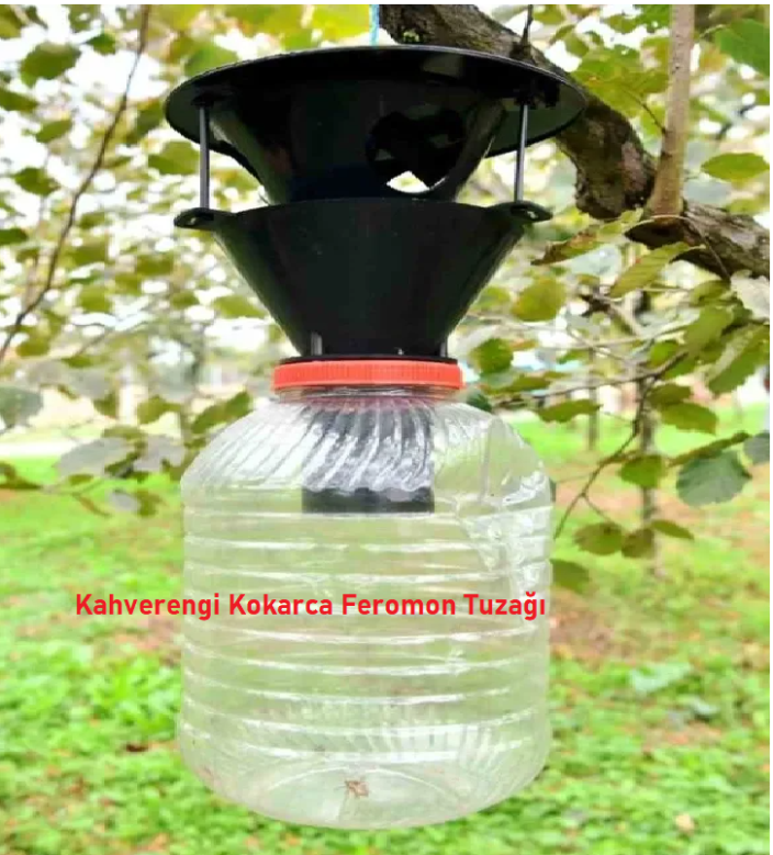 538ffd3c-3e4a-4f01-8889-3d390ae7ecc0