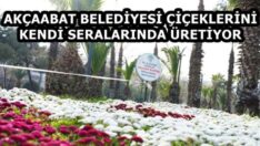 AKÇAABAT BELEDİYESİ ÇİÇEKLERİNİ KENDİ SERALARINDA ÜRETİYOR