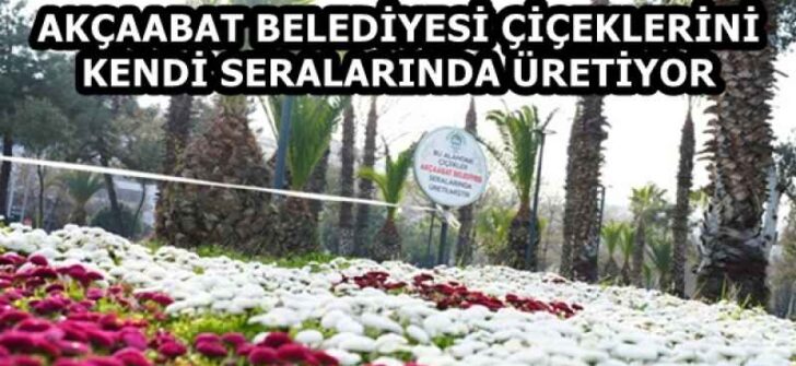 AKÇAABAT BELEDİYESİ ÇİÇEKLERİNİ KENDİ SERALARINDA ÜRETİYOR