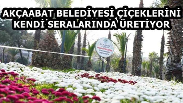 AKÇAABAT BELEDİYESİ ÇİÇEKLERİNİ KENDİ SERALARINDA ÜRETİYOR