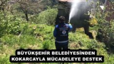 BÜYÜKŞEHİR BELEDİYESİNDEN KOKARCAYLA MÜCADELEYE DESTEK