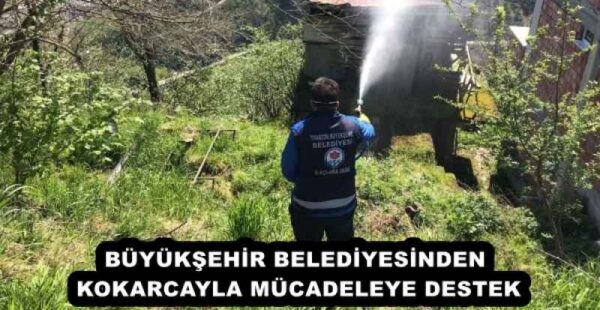 BÜYÜKŞEHİR BELEDİYESİNDEN KOKARCAYLA MÜCADELEYE DESTEK