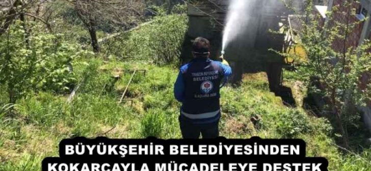 BÜYÜKŞEHİR BELEDİYESİNDEN KOKARCAYLA MÜCADELEYE DESTEK