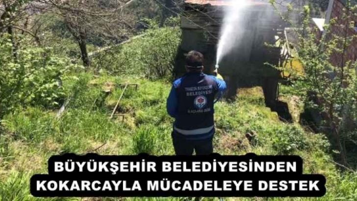 BÜYÜKŞEHİR BELEDİYESİNDEN KOKARCAYLA MÜCADELEYE DESTEK