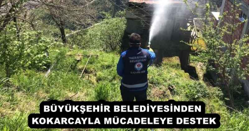 BÜYÜKŞEHİR BELEDİYESİNDEN KOKARCAYLA MÜCADELEYE DESTEK