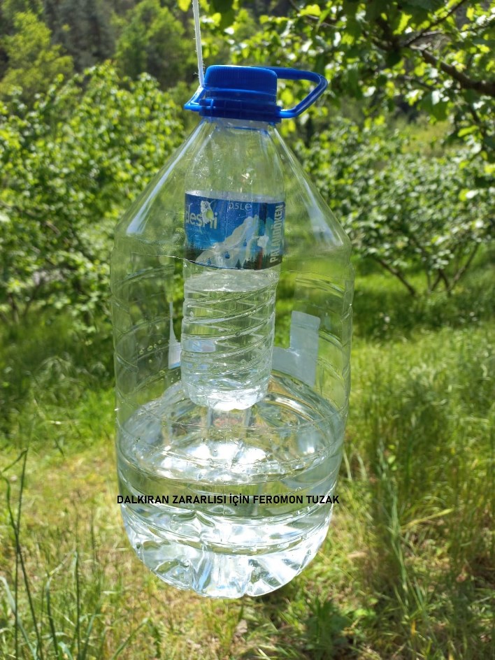 f62f4488-a442-4ae5-a627-342ff4920a00