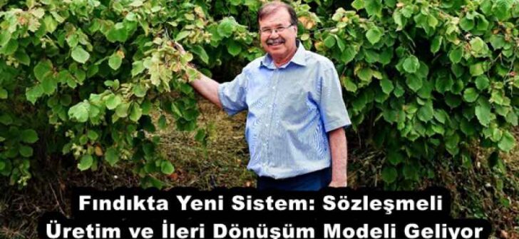 Fındıkta Yeni Sistem: Sözleşmeli Üretim ve İleri Dönüşüm Modeli Geliyor